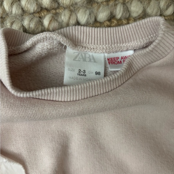 Light pink Zara Sweatshirt with Floral Appliques - Picture 4 of 4